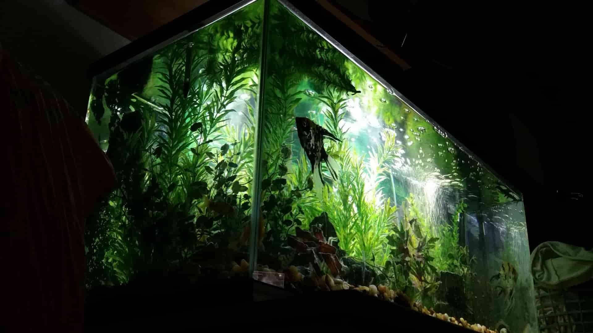 top fin 48 inch led light