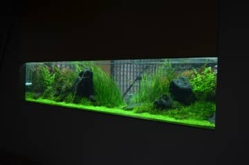 Top fin LED light not working- How to fix - bestpetfish